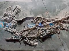 -长江文明馆