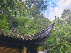 -南山风景名胜区
