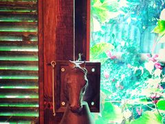 -斯多格书乡(北京大学畅春园店)