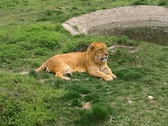 -西安秦岭野生动物园