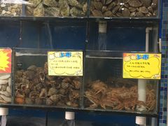 -蚝专家(北滘店)