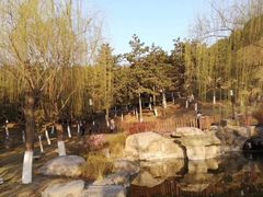 -鹦鹉寺公园