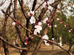 -滨河世纪广场公园