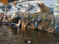 -西安华夏文旅水世界