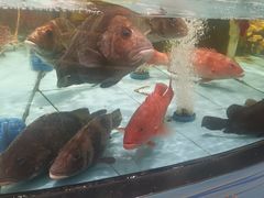 -食鼎记海鲜大排档(美食街店)