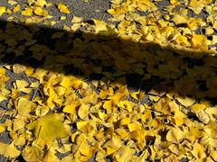 -婕妮璐超市 Jenny Lou’s Shop(三里屯店)