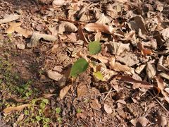 -南京金牛湖风景区