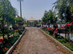 -同銮特种养殖场·龙虾垂钓