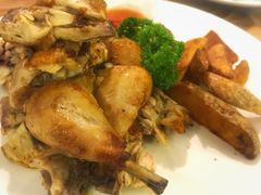 -百好乐宠物友好餐厅(朝外大街店)