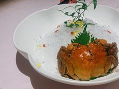 枸杞菊花熟醉蟹-蟹榭·莳鲜(虹桥高岛屋店)