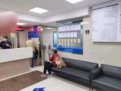 -申普宠物医院·心脏介入·心血管微创(总院)