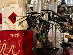 -本無咖啡·BeanWood Coffee