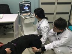 -中农大我爱我爱24h动物医院·中医针灸·猫专科·骨科医疗中心(双井店)