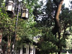 -复旦大学附属华山医院(总院)