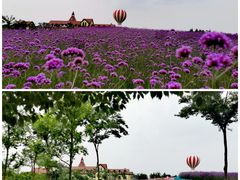 -歌斐颂巧克力小镇