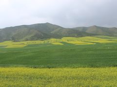 -扁都口生态休闲旅游区