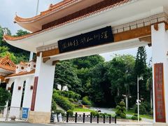 -深圳仙湖植物园
