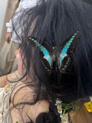 -WAVE SODA摄影工作室