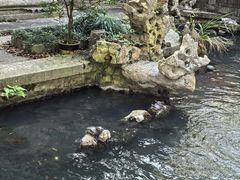 -普陀山风景名胜区-法雨禅寺