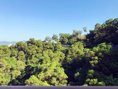 -金鸡山公园