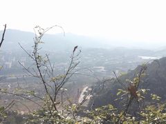 -伴山茶苑·一盏冰茶·半日山居