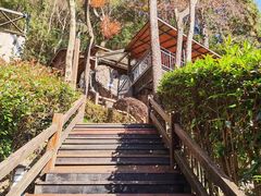 -宁海森林温泉