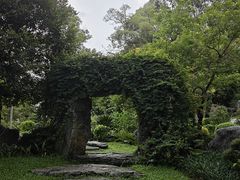 -东莞植物园