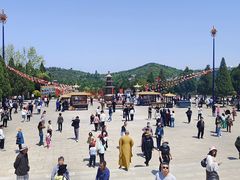 -龙口南山旅游景区