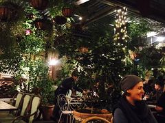 -The Grounds of Alexandria
