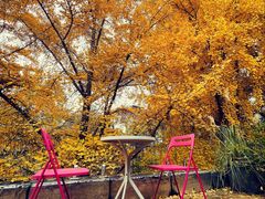 -腾爱熊猫咖啡生活馆(老东门店)