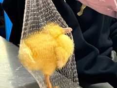 -有间冰室(侨港风情街店)