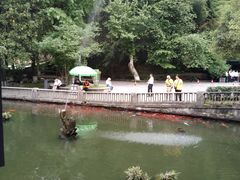 -滴水洞景区