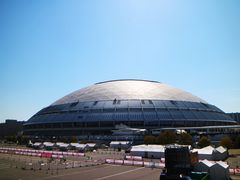 -矢场猪(名古屋站三井楼北馆店)