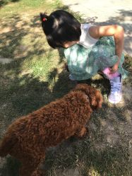 -萌宠亲子动物乐园(槐房万达店)