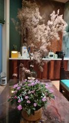 -娇玫荟SPA