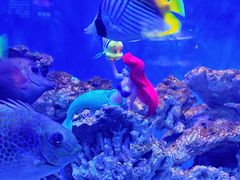 -太平洋海底世界