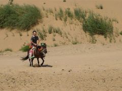 android_upload_pic-恩格贝生态旅游区