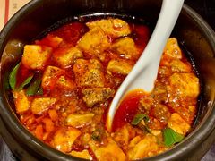 -陈麻婆豆腐总店