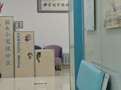 -北京观赏动物医院·24小时大型综合·猫专科·异宠专科