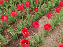 -长春公园(普阳街道)