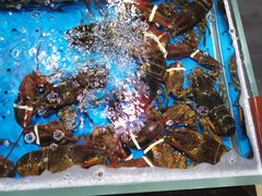 -徐记海鲜(汉城湖|太奥店)