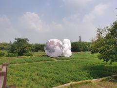 -乌镇景区