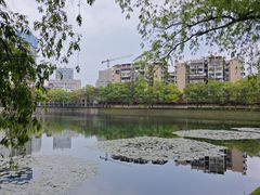 -宝岛公园