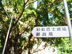 -彩虹村