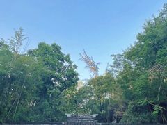 -深圳国际园林花卉博览园