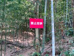 -杭州半山国家森林公园