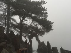 -庐山风景区花径公园