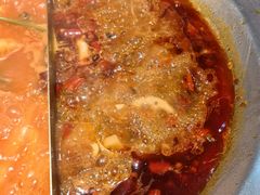 -楠火锅(哈尔滨金爵万象店)