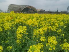 -中国天府农业博览园