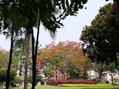 -广州雕塑公园
